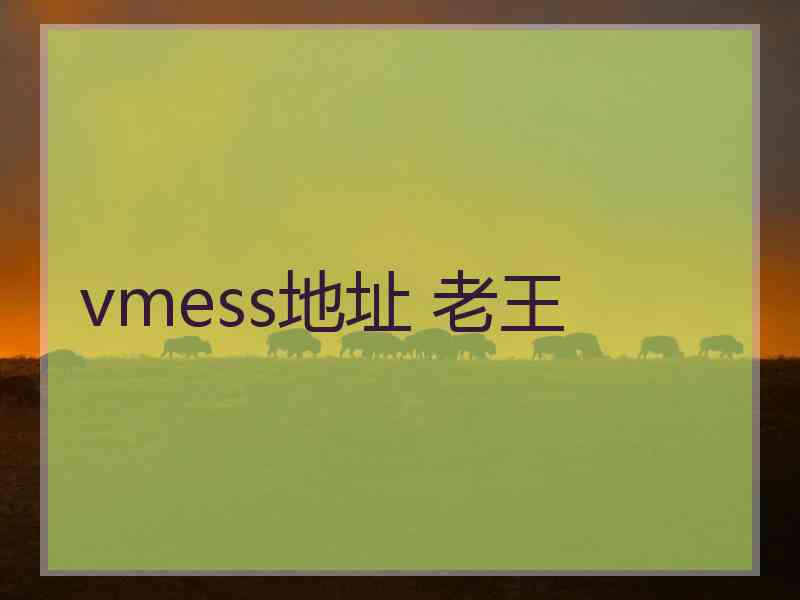 vmess地址 老王