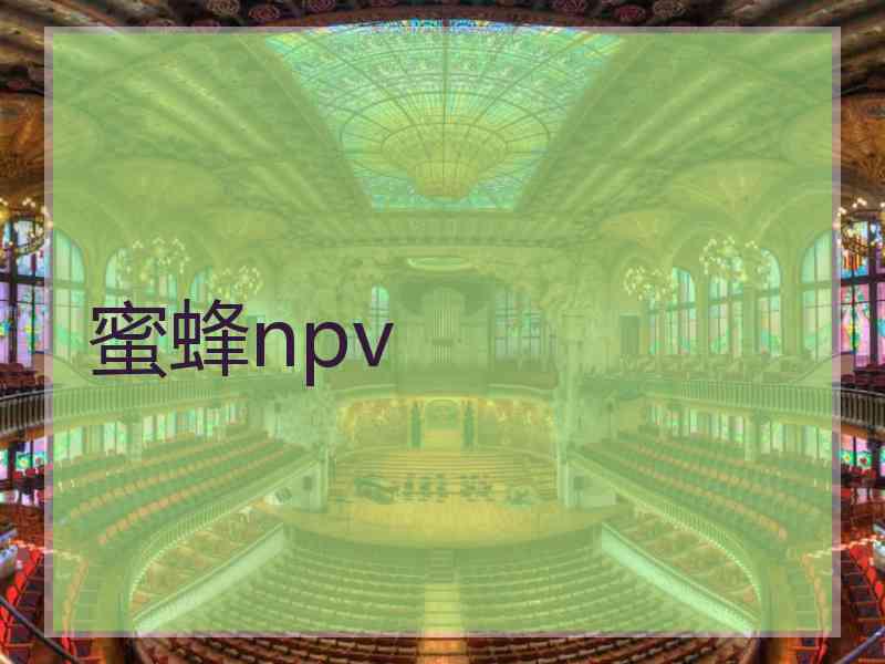 蜜蜂npv