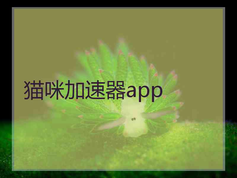 猫咪加速器app