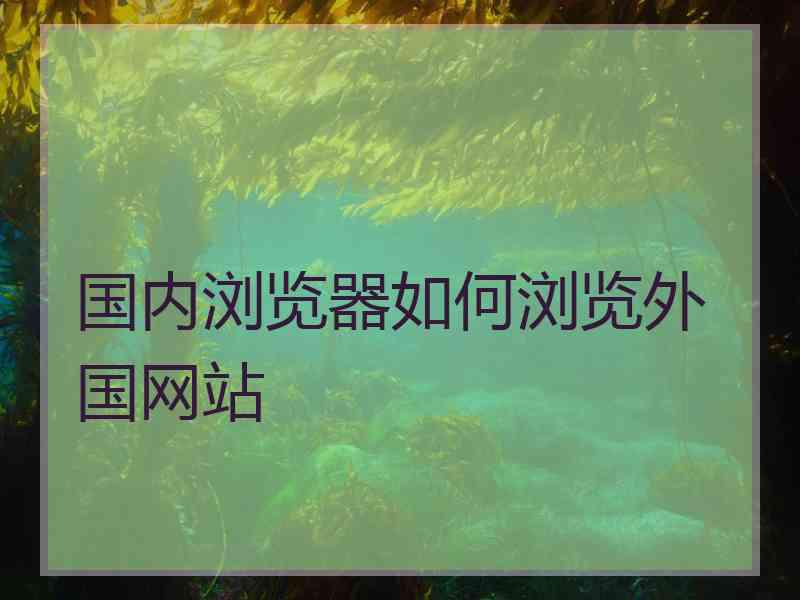 国内浏览器如何浏览外国网站