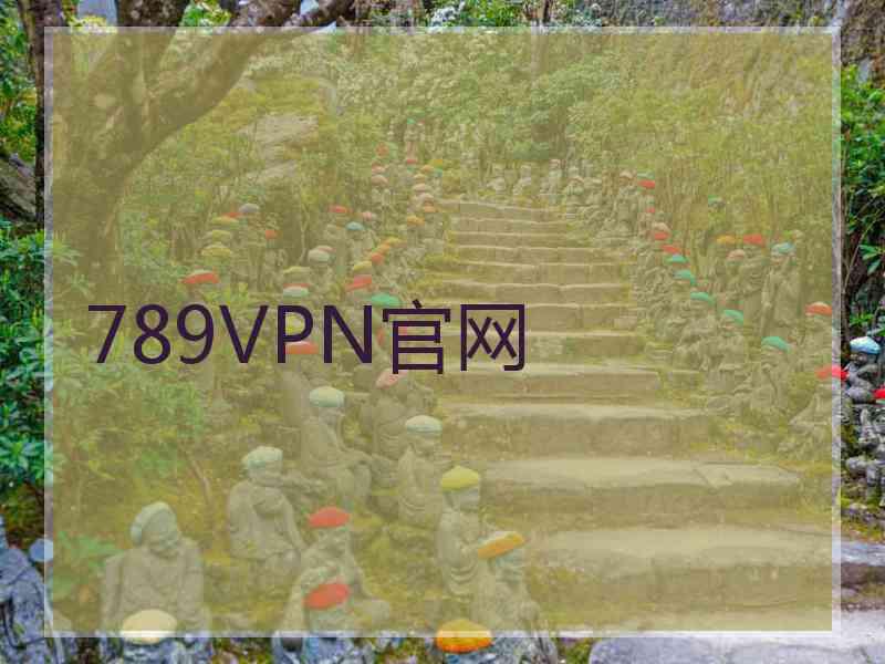 789VPN官网