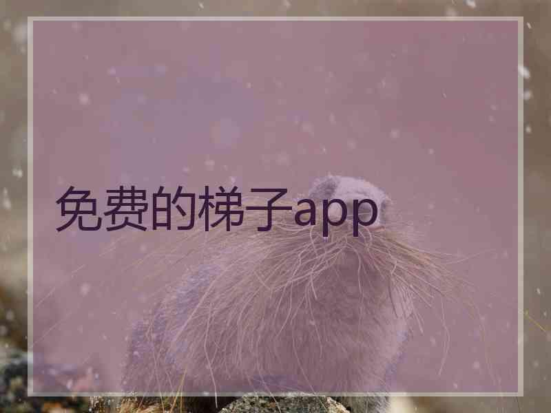 免费的梯子app