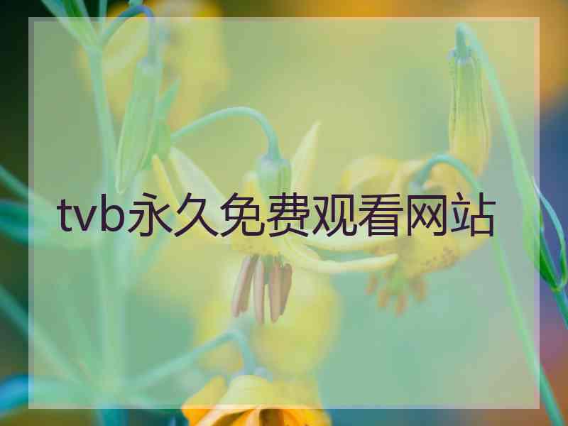 tvb永久免费观看网站