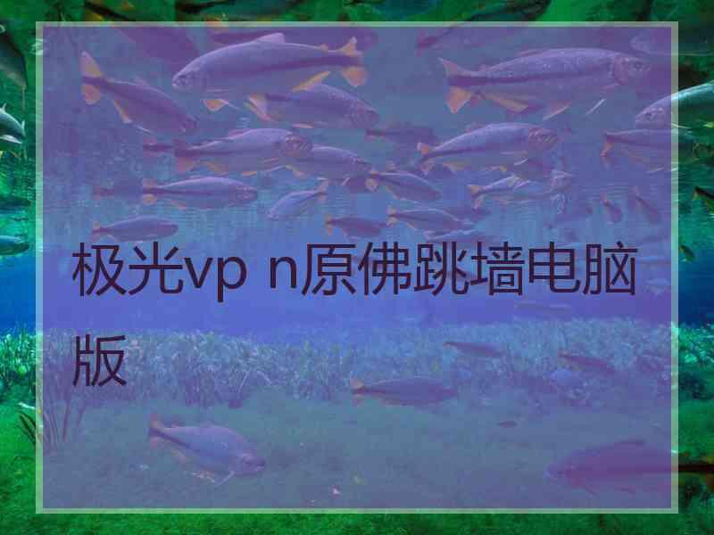 极光vp n原佛跳墙电脑版