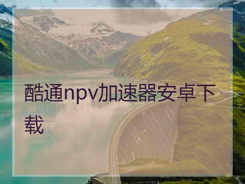 酷通npv加速器安卓下载