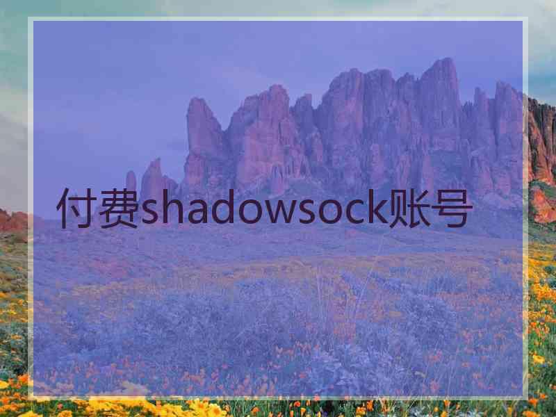 付费shadowsock账号