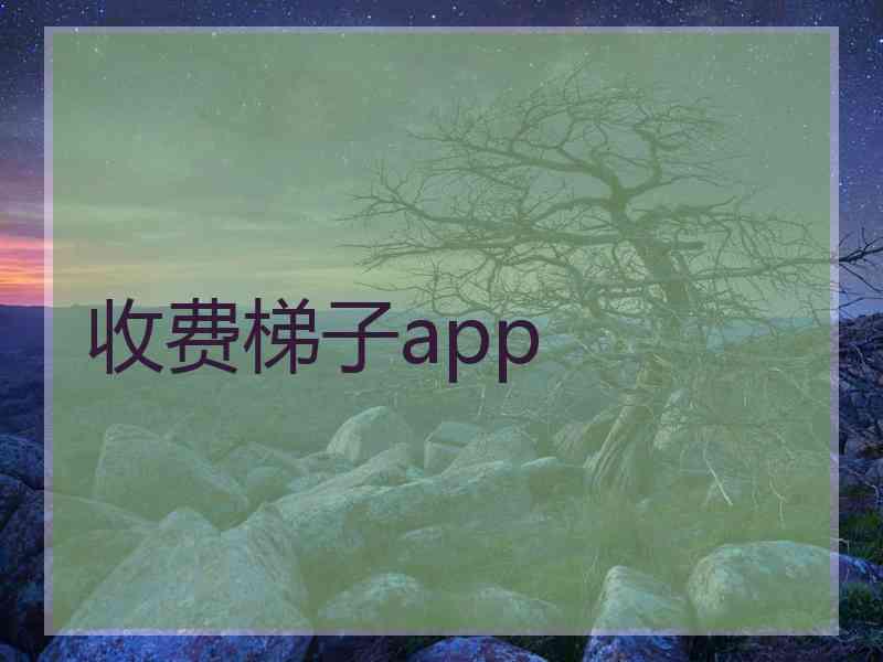 收费梯子app