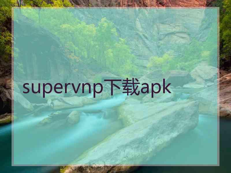 supervnp下载apk