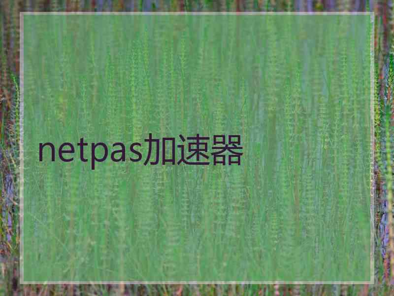 netpas加速器