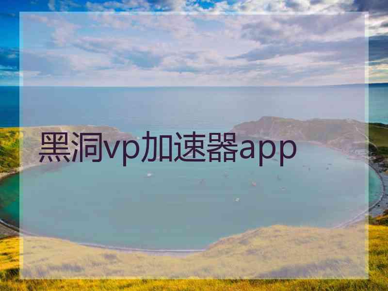 黑洞vp加速器app