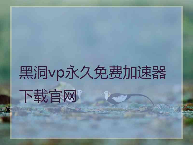 黑洞vp永久免费加速器下载官网