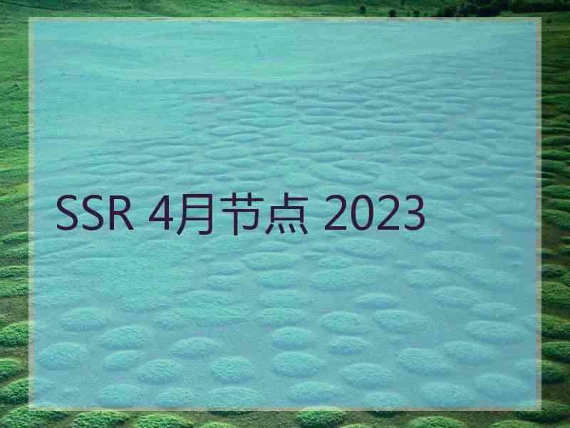 SSR 4月节点 2023