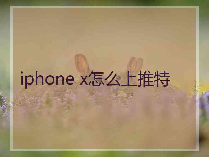 iphone x怎么上推特