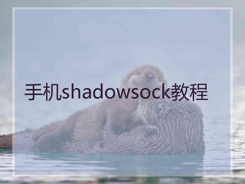 手机shadowsock教程