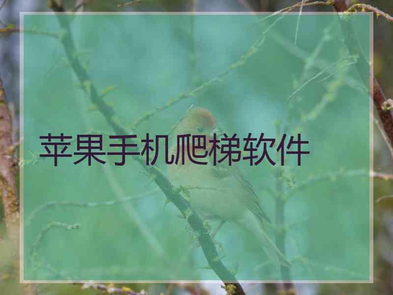 苹果手机爬梯软件