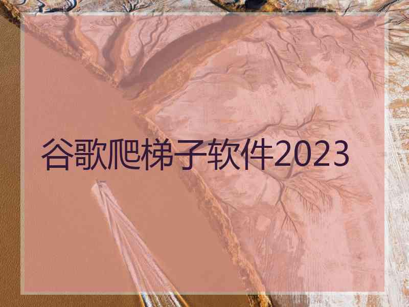 谷歌爬梯子软件2023