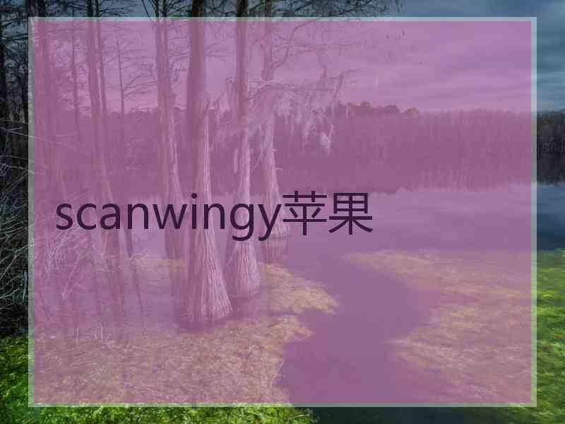 scanwingy苹果