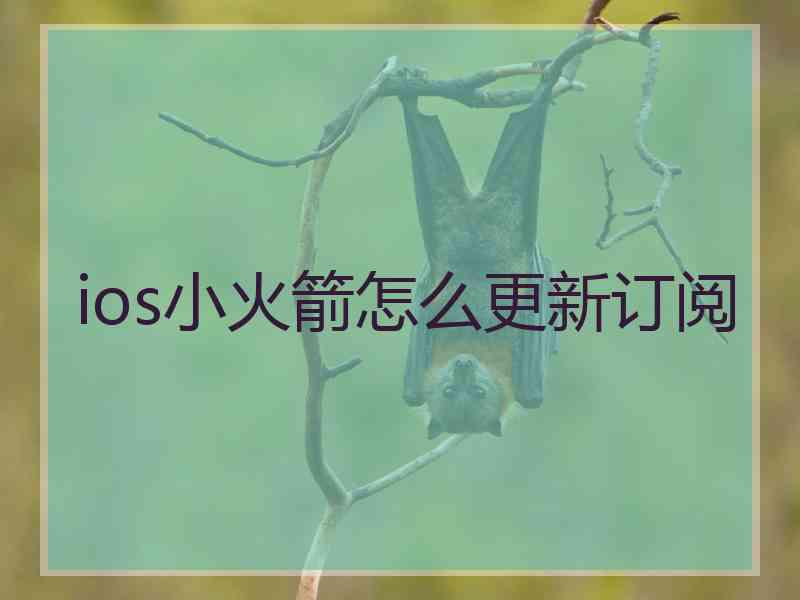 ios小火箭怎么更新订阅