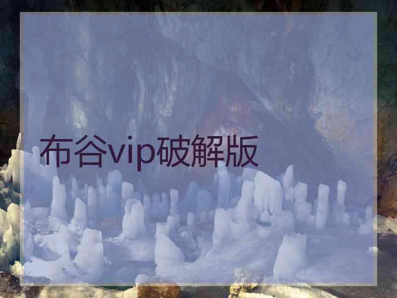 布谷vip破解版