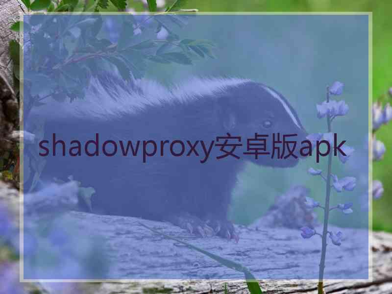 shadowproxy安卓版apk