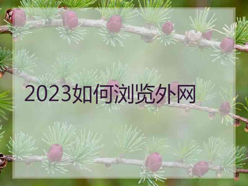 2023如何浏览外网