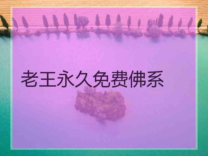 老王永久免费佛系