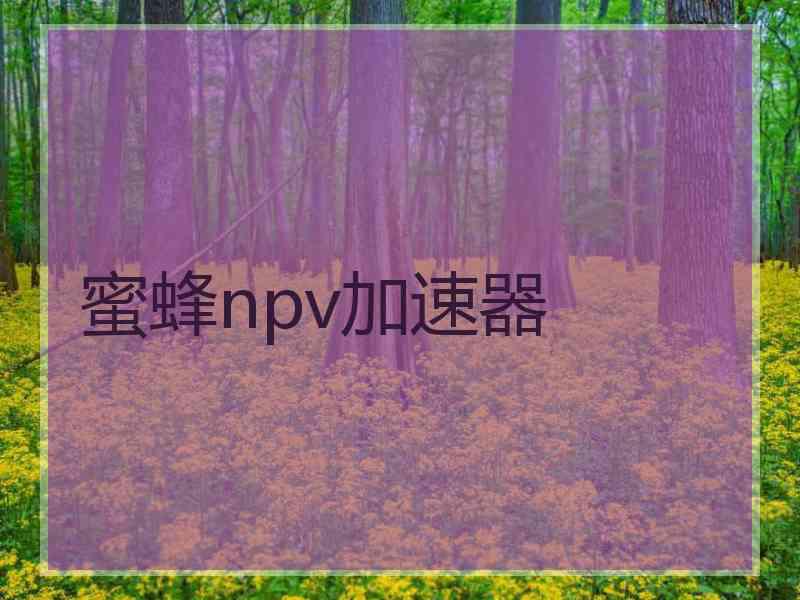 蜜蜂npv加速器