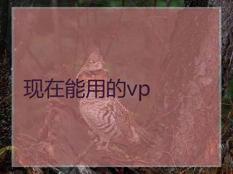 现在能用的vp