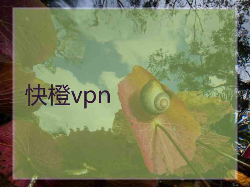 快橙vpn