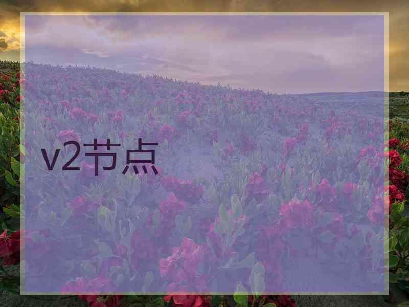 v2节点