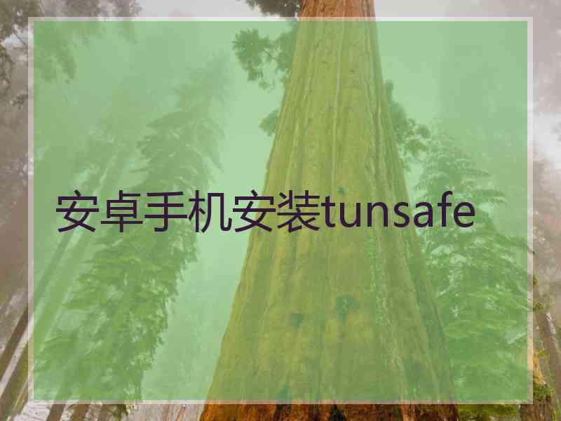 安卓手机安装tunsafe