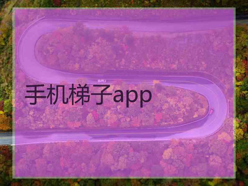 手机梯子app