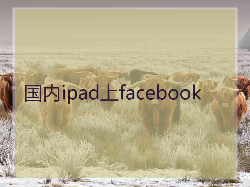 国内ipad上facebook