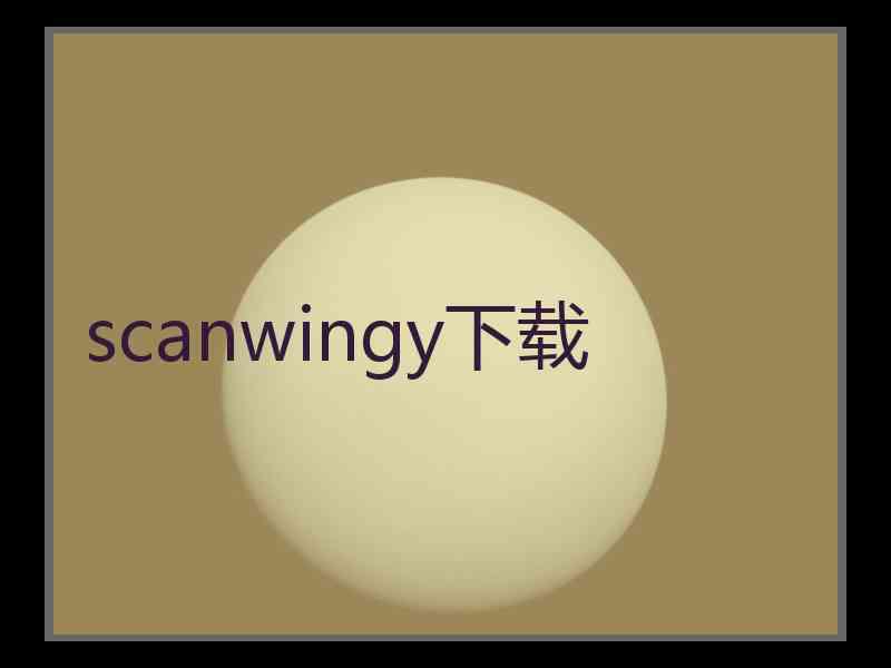 scanwingy下载