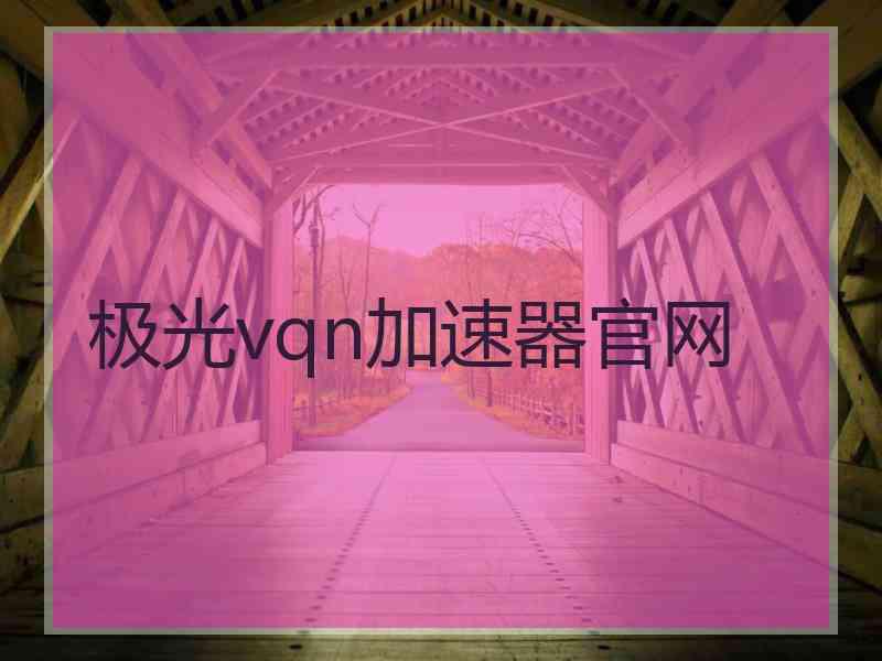 极光vqn加速器官网