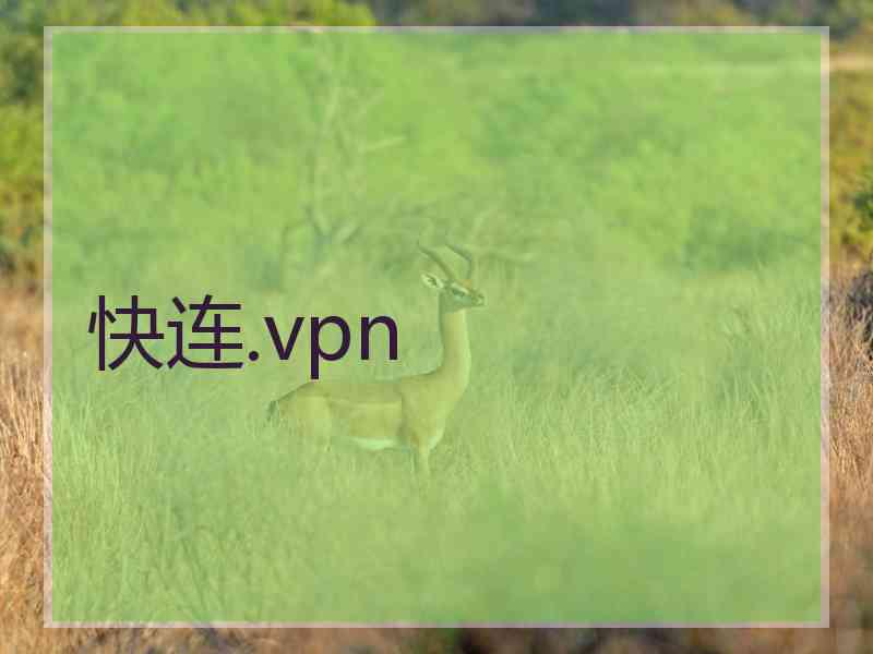 快连.vpn