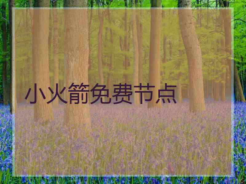 小火箭免费节点