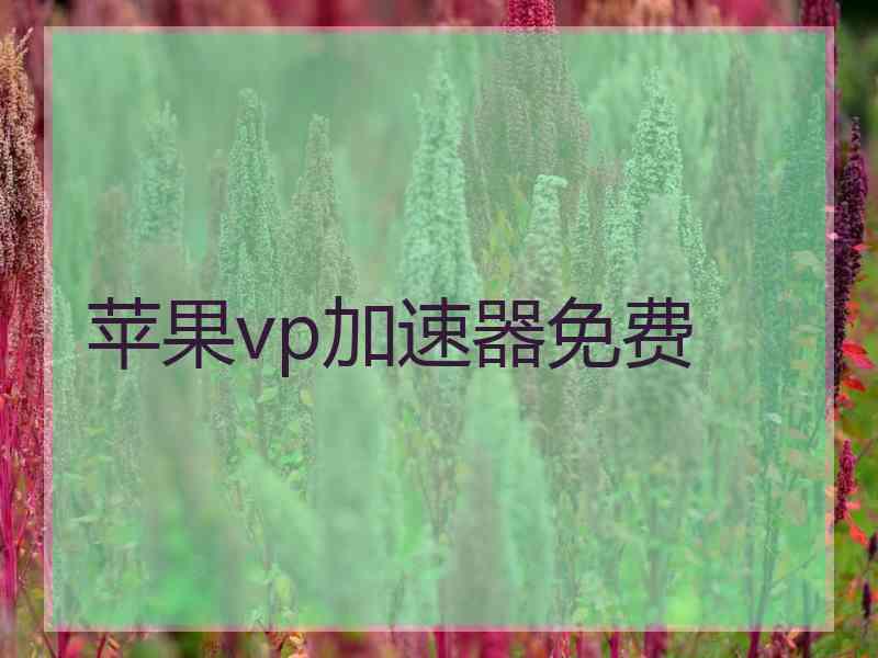 苹果vp加速器免费