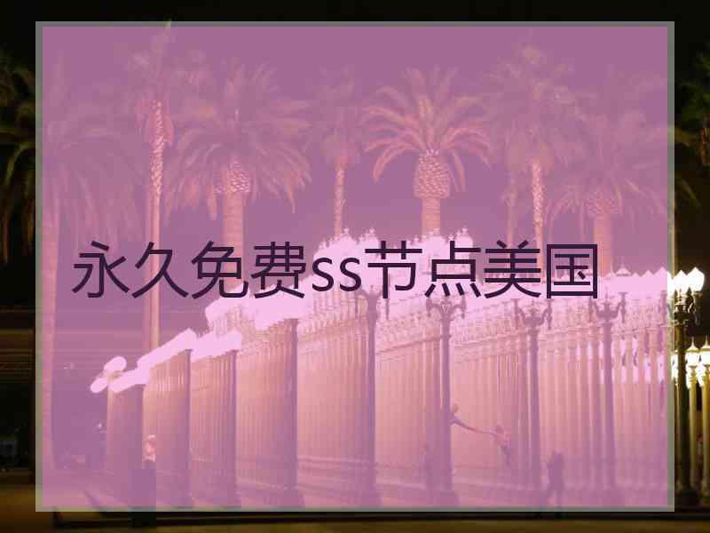 永久免费ss节点美国