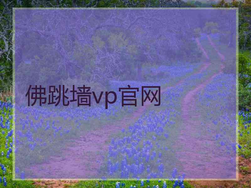 佛跳墙vp官网