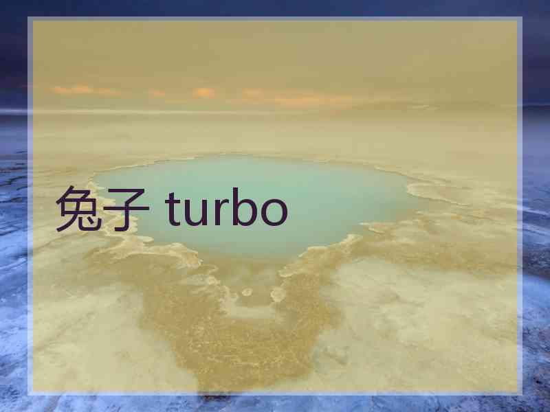 兔子 turbo