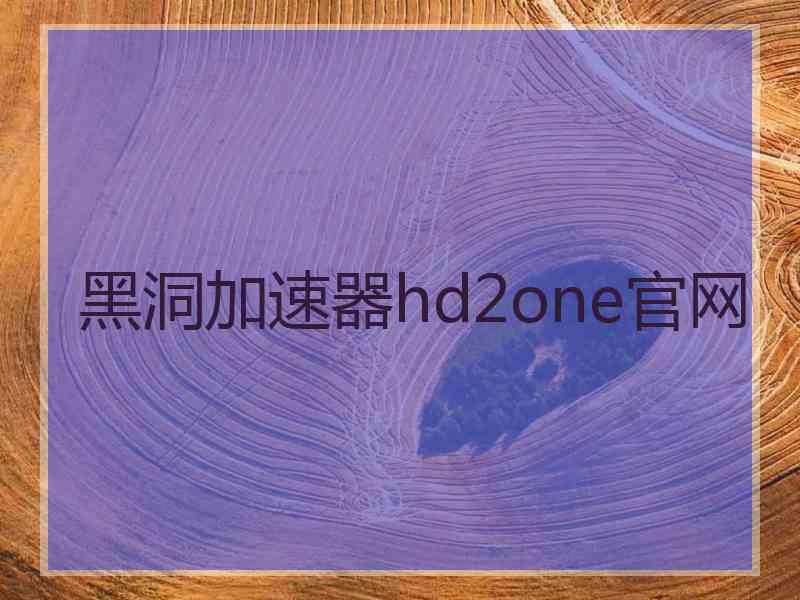 黑洞加速器hd2one官网