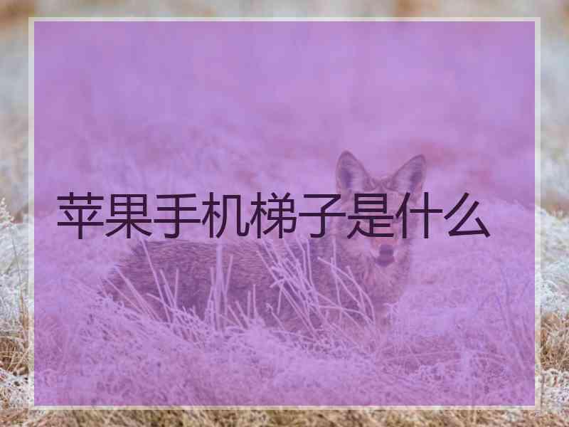 苹果手机梯子是什么