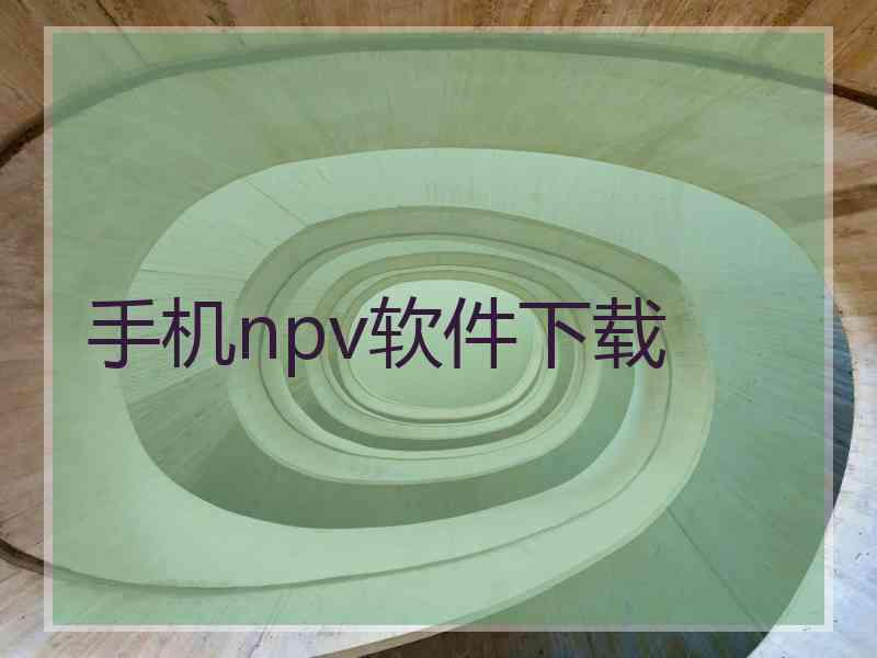 手机npv软件下载