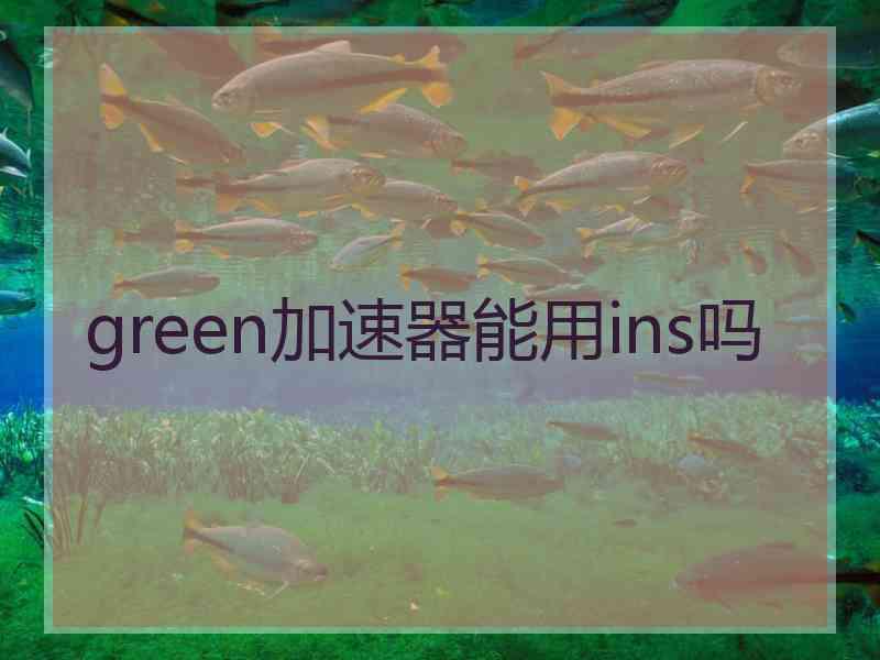 green加速器能用ins吗