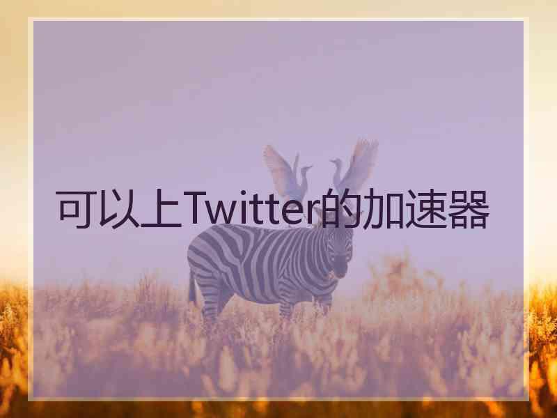 可以上Twitter的加速器