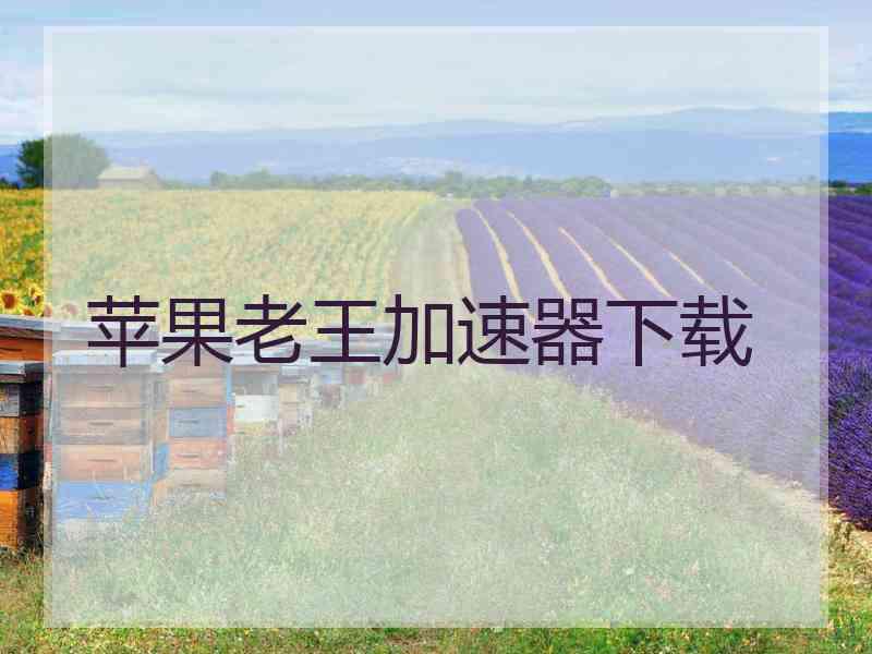 苹果老王加速器下载