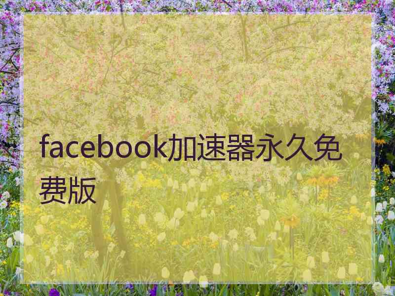 facebook加速器永久免费版