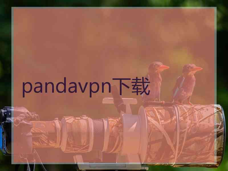 pandavpn下载