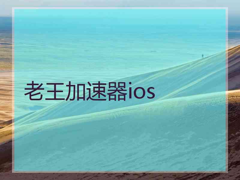 老王加速器ios